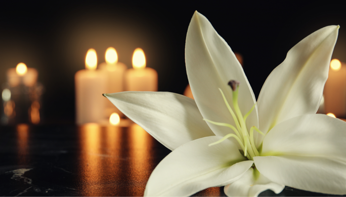 Lily flower and burning candles